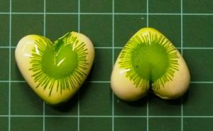 Zelená kytička-srdíčko